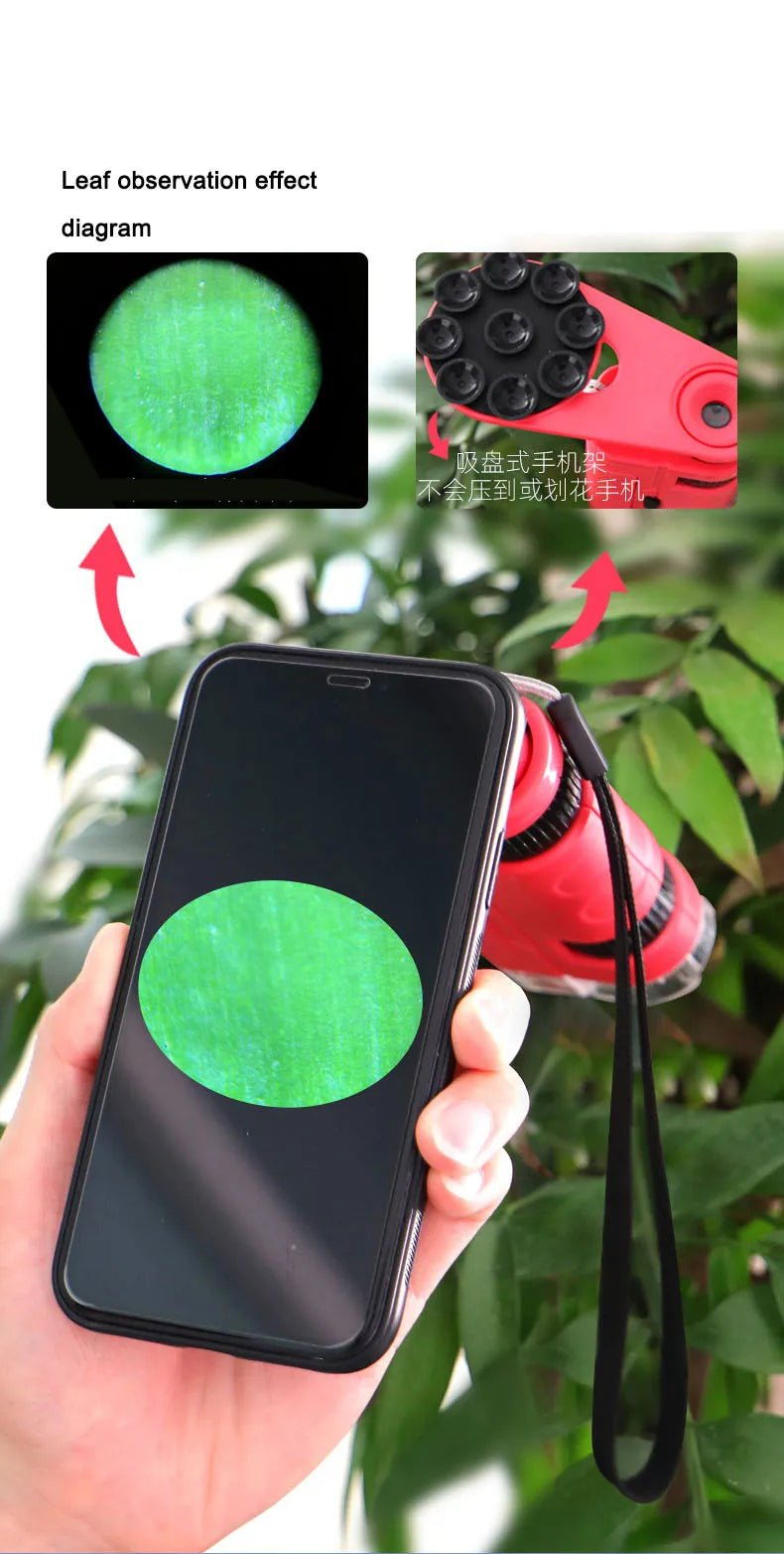 Microscopio as seen on facebook