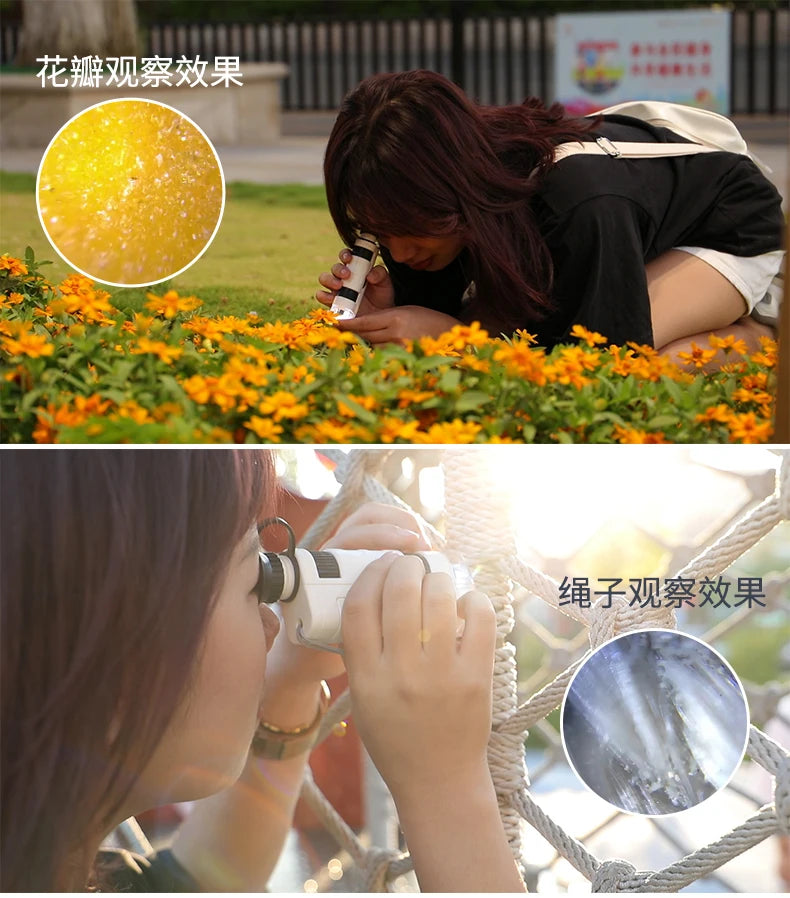 Microscopio as seen on facebook