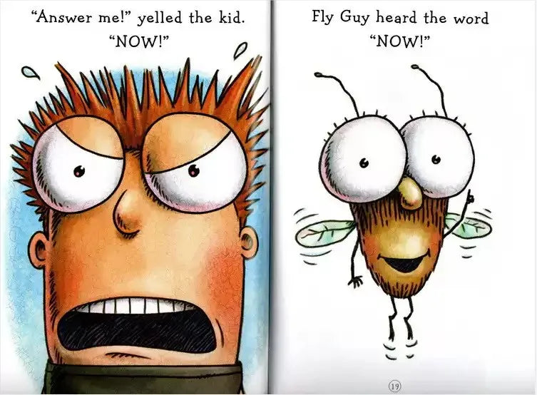 15 Books /  fly guy .Set English Usborne Books for Children Kids Picture Books