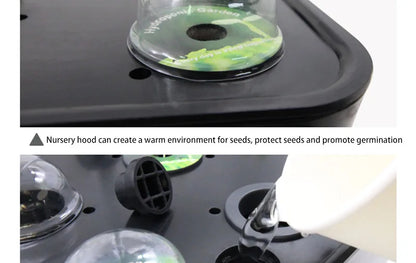 Planter Hydroponic Growing Vegetable