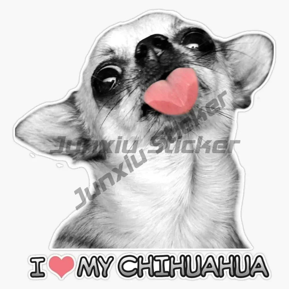 Smiling Chihuahua Mum