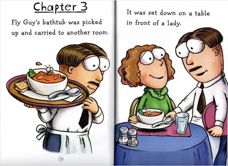 15 Books /  fly guy .Set English Usborne Books for Children Kids Picture Books