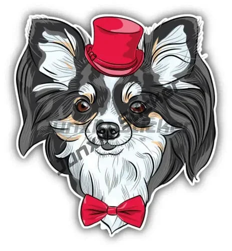 Smiling Chihuahua Mum