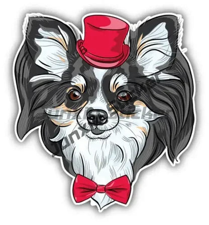 Smiling Chihuahua Mum