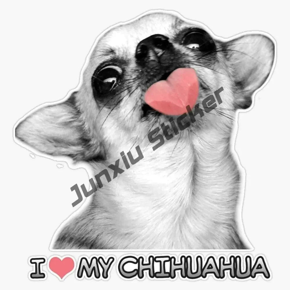 Smiling Chihuahua Mum
