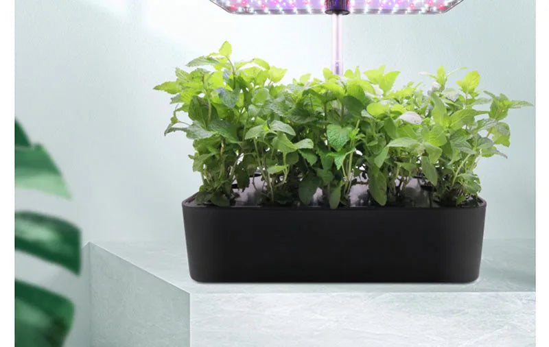 Planter Hydroponic Growing Vegetable