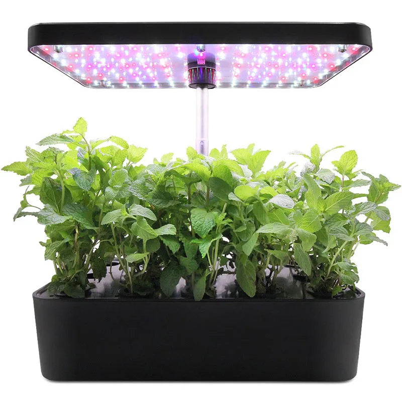 Planter Hydroponic Growing Vegetable
