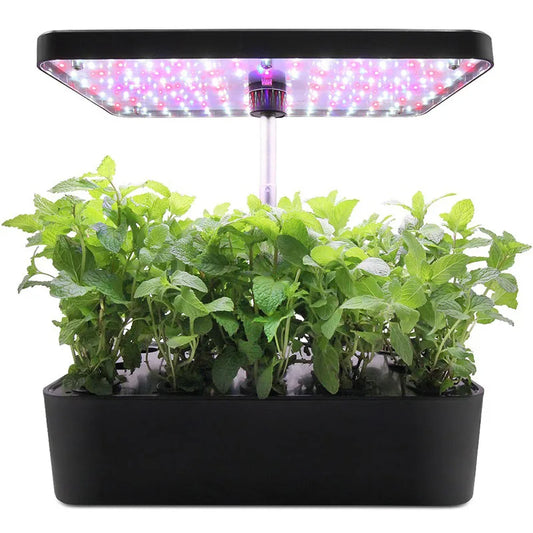 Planter Hydroponic Growing Vegetable