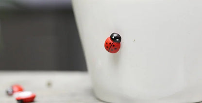 100Pcs Mini Wooden Ladybird Ladybug