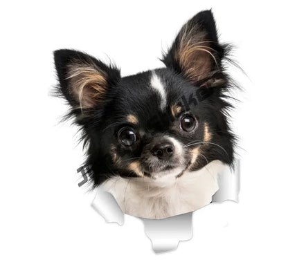 Smiling Chihuahua Mum