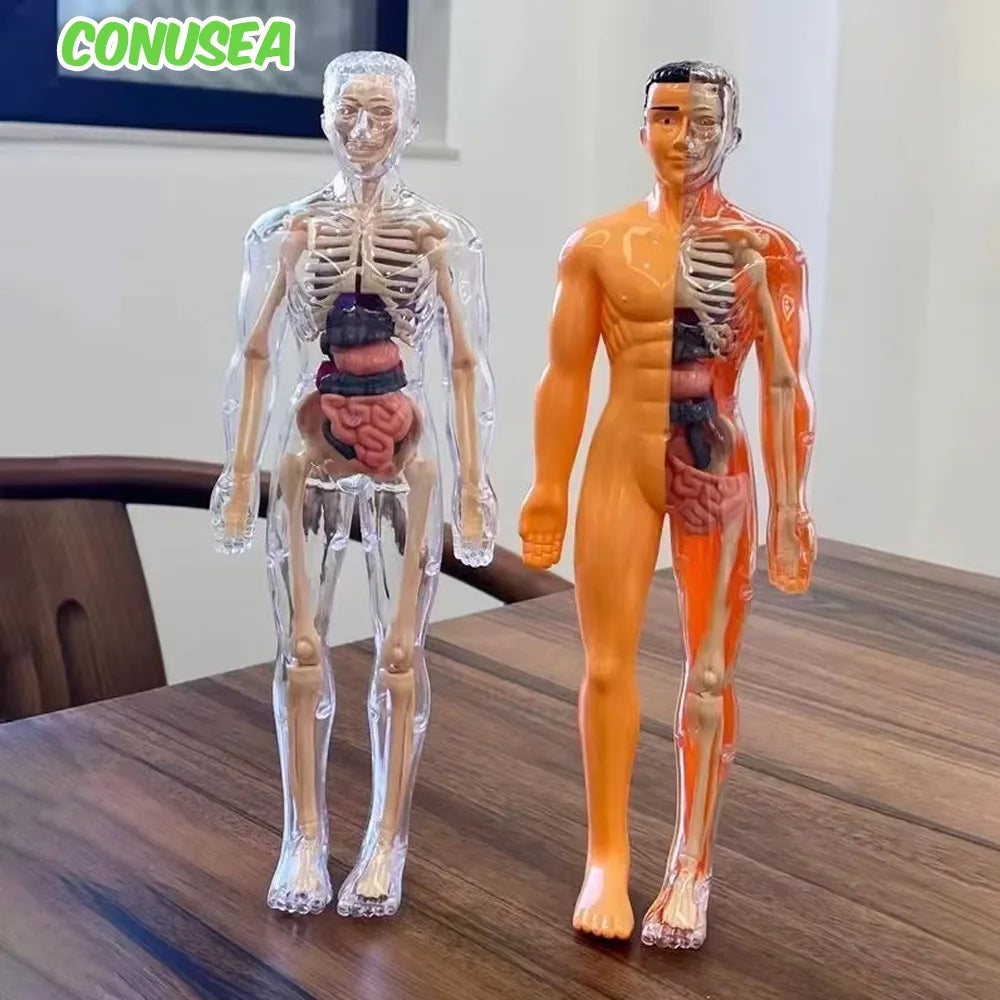 Children's Scieces human