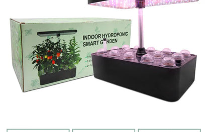 Planter Hydroponic Growing Vegetable