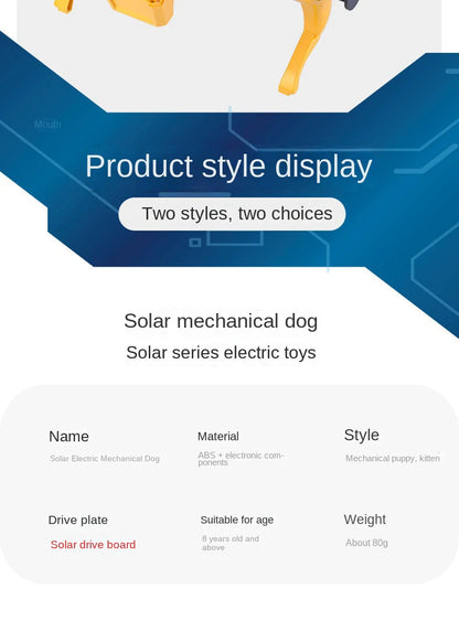 Science Teaching Assembling Set Power