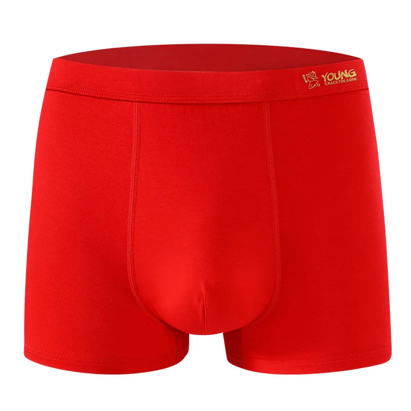 9XL Plus Size Men's Underpant 8XL