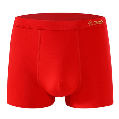 9XL Plus Size Men's Underpant 8XL