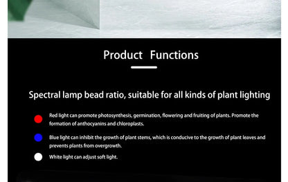 Planter Hydroponic Growing Vegetable