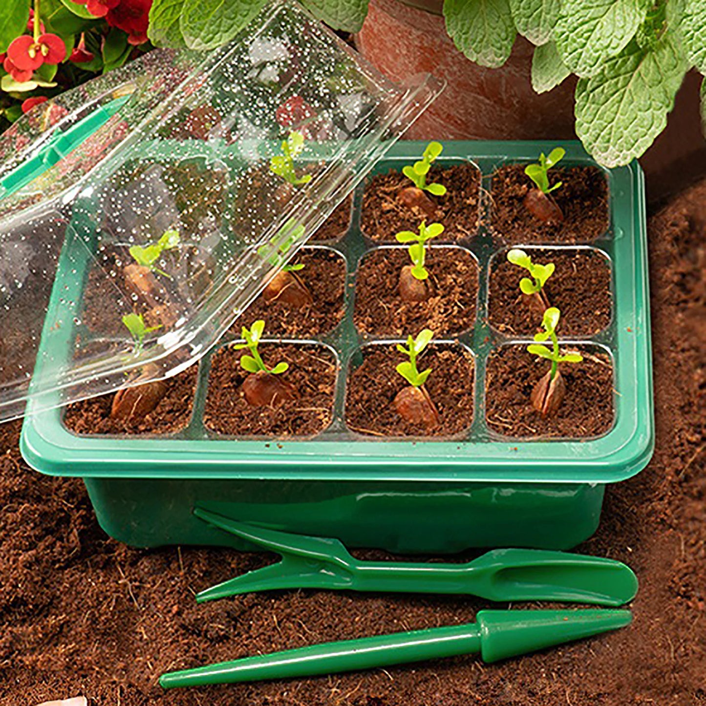 Plant LED Light For Plant Seed Starter Trays