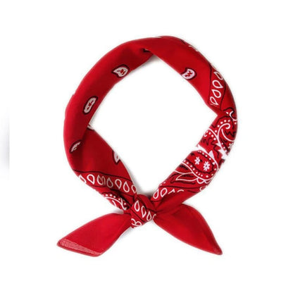 Classic Cow-boy Costumes