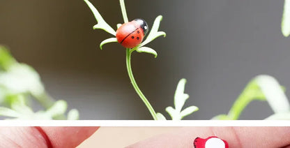 100Pcs Mini Wooden Ladybird Ladybug