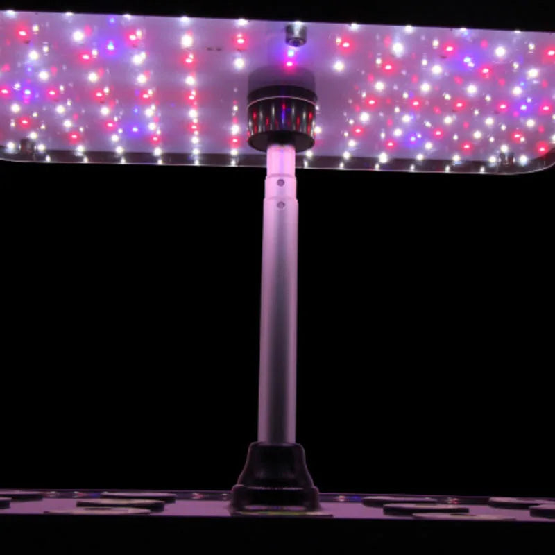 Planter Hydroponic Growing Vegetable