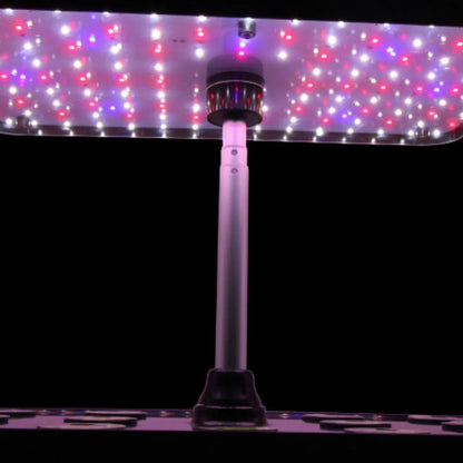 Planter Hydroponic Growing Vegetable