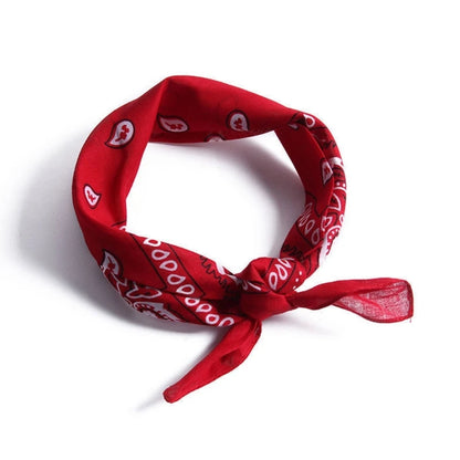 Classic Cow-boy Costumes