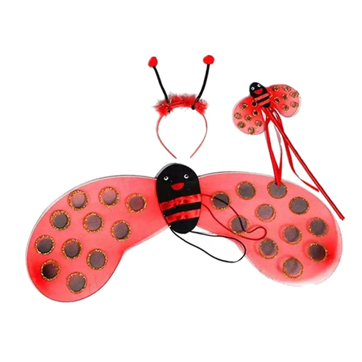 Ladybird Costume Kids