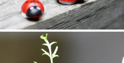 100Pcs Mini Wooden Ladybird Ladybug