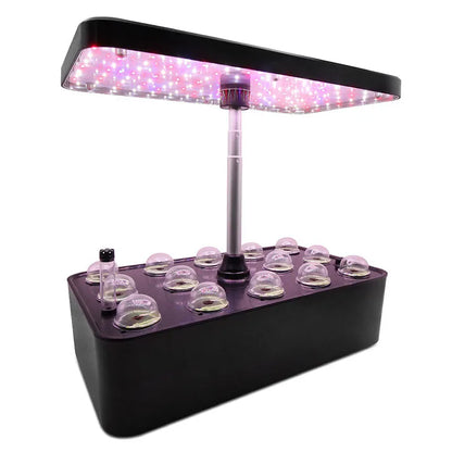 Planter Hydroponic Growing Vegetable