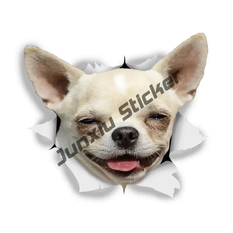 Smiling Chihuahua Mum