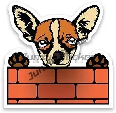 Smiling Chihuahua Mum