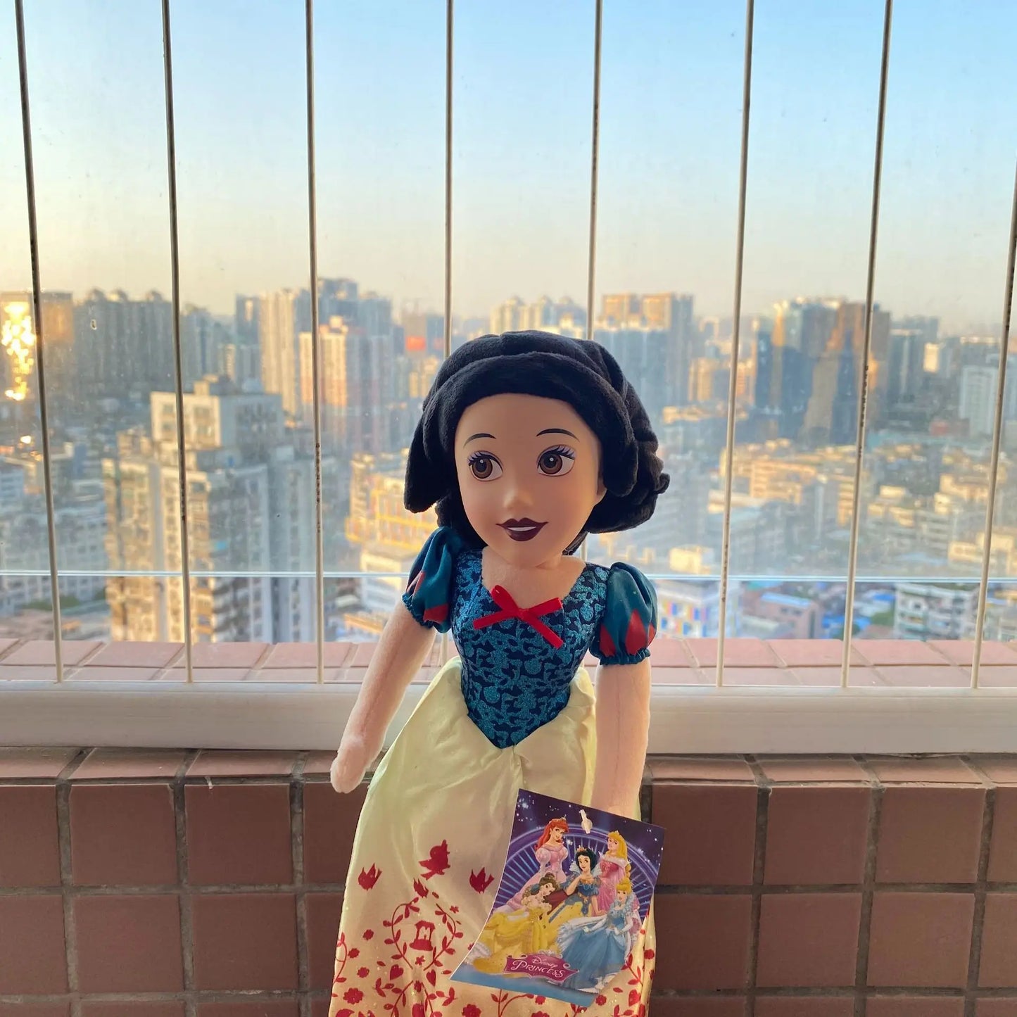 20cm Disney Princess Series