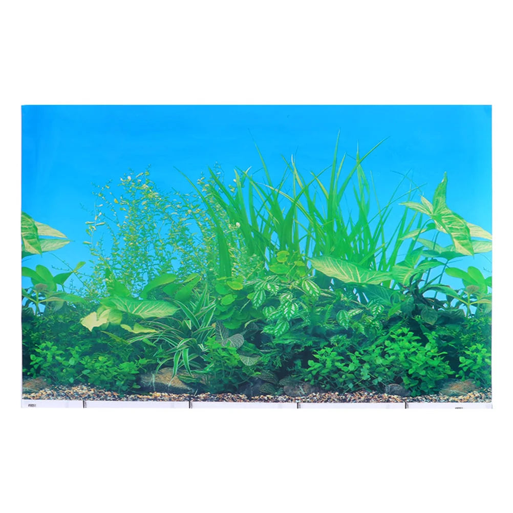 3D Landscape Double Sided Fish Tank Background