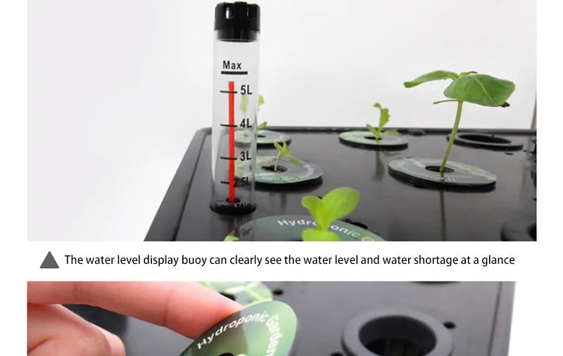Planter Hydroponic Growing Vegetable