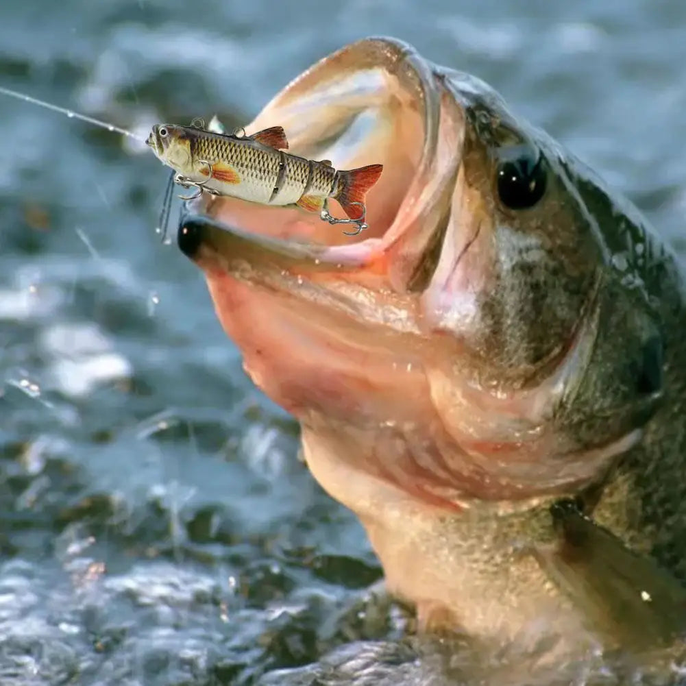 Robotic Self-swimming lure