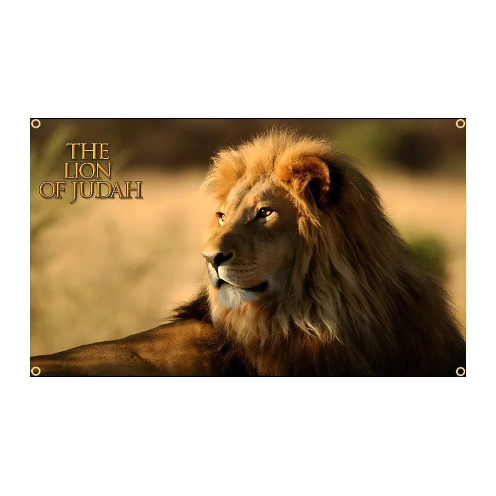 The Lion Of Judah