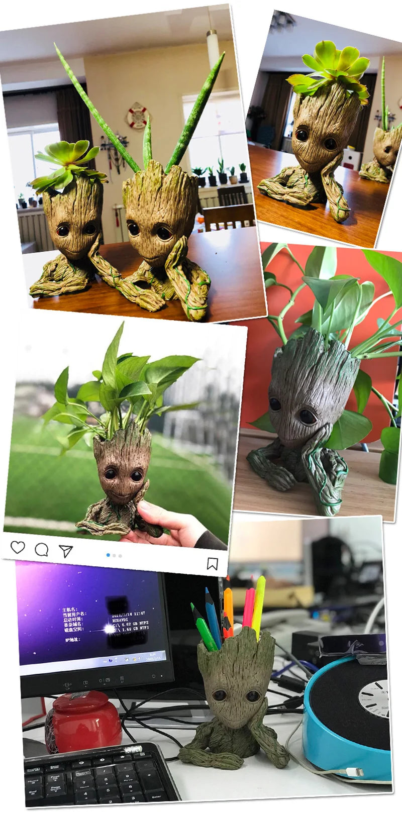 Groot Garden
