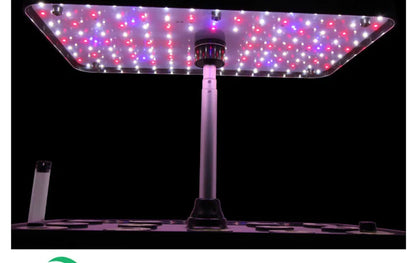 Planter Hydroponic Growing Vegetable