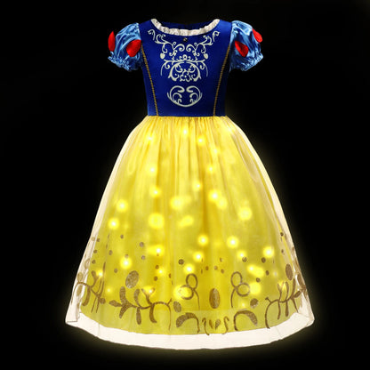Girl Princess Dress with LED Light