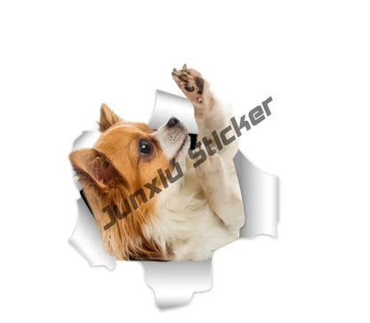 Smiling Chihuahua Mum