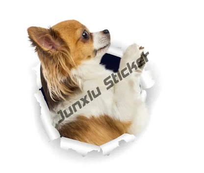 Smiling Chihuahua Mum