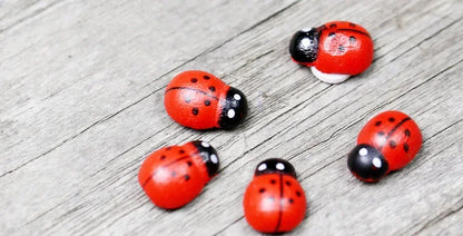 100Pcs Mini Wooden Ladybird Ladybug