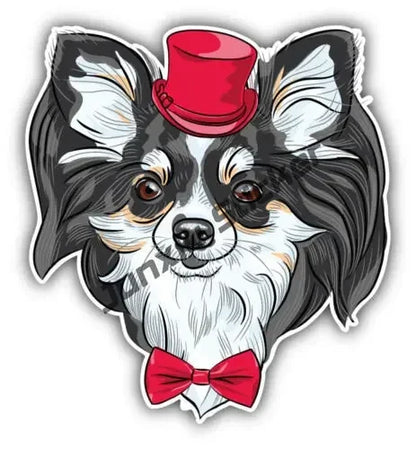 Smiling Chihuahua Mum