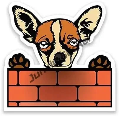 Smiling Chihuahua Mum