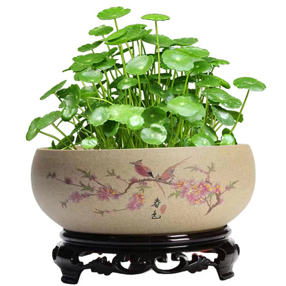 Elegant Bowl Planter Decor Lotus Bowls For Balcony Garden Lotus Bowls