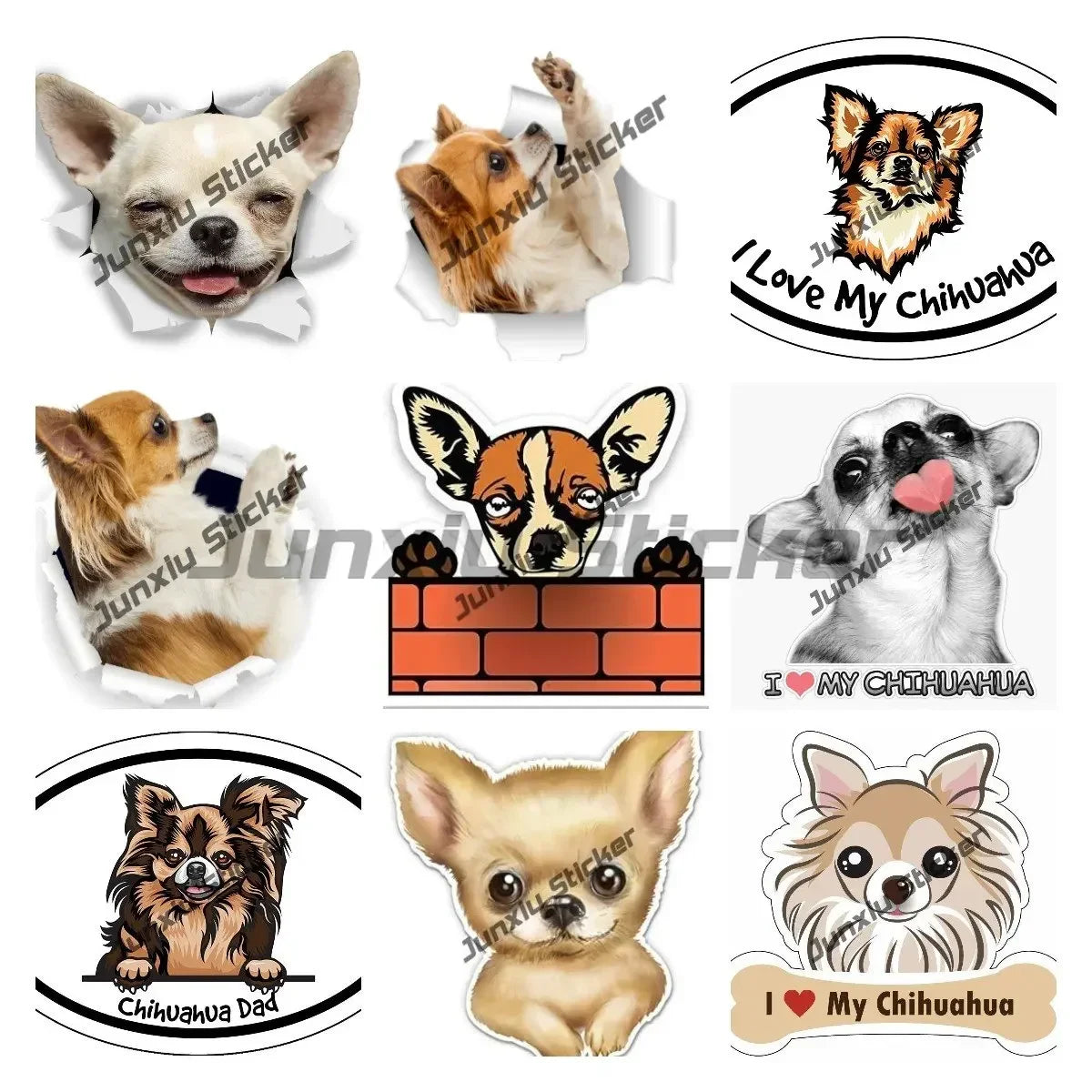 Smiling Chihuahua Mum