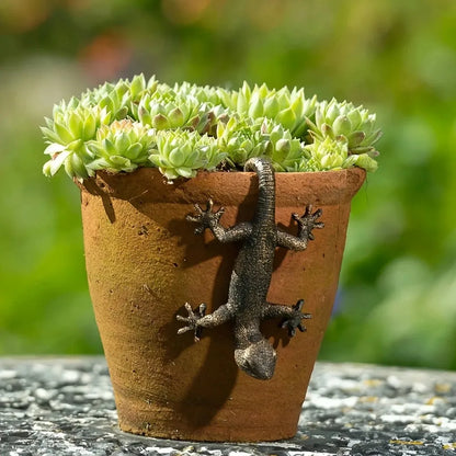 Planter Figurine,  Gecko Hanging -