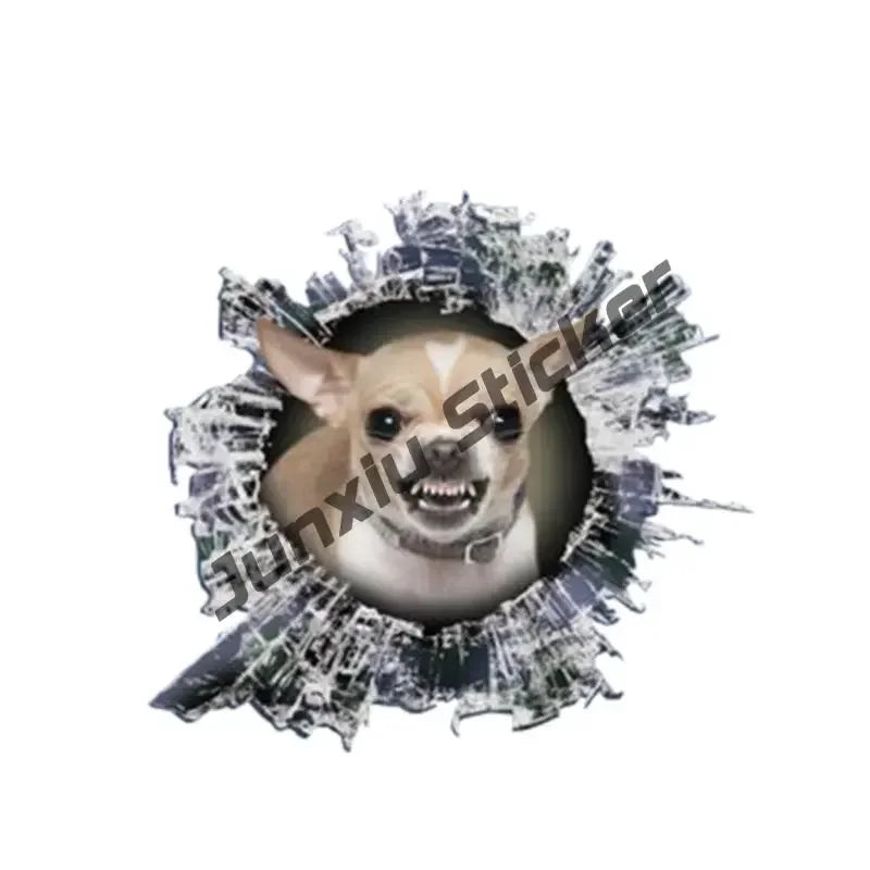 Smiling Chihuahua Mum