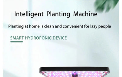 Planter Hydroponic Growing Vegetable