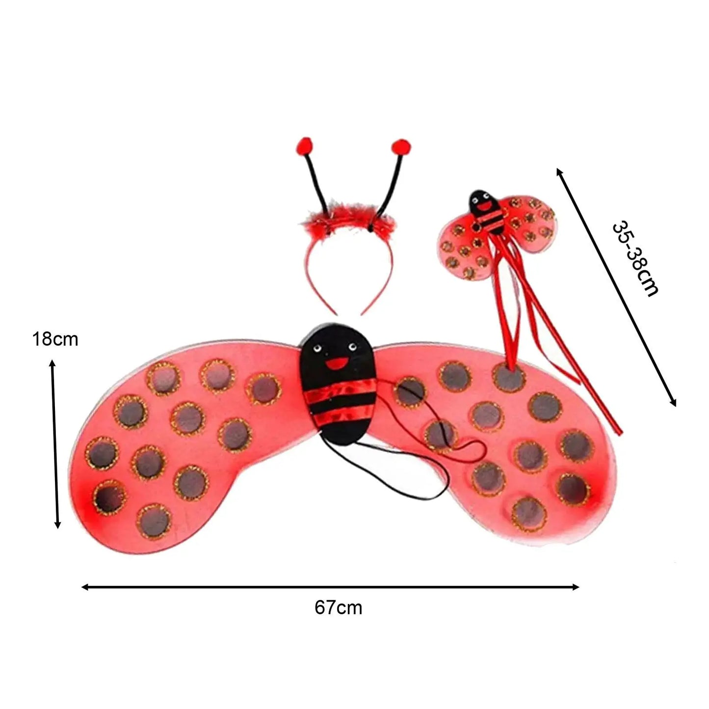 Ladybird Costume Kids